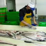 Pescados y Mariscos